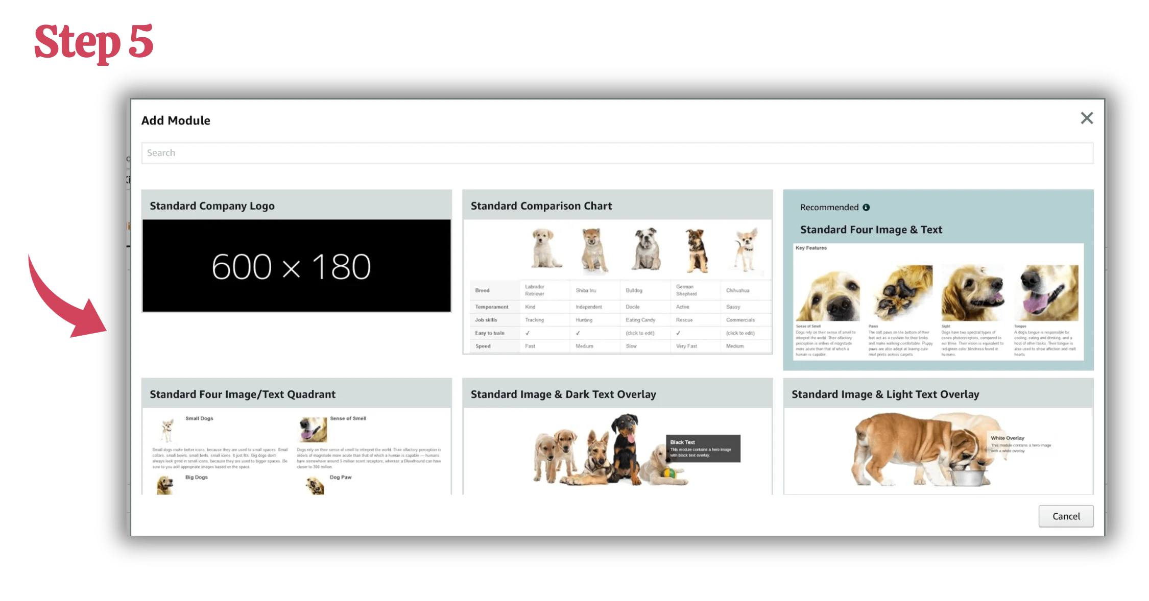 Step 5: Choose design